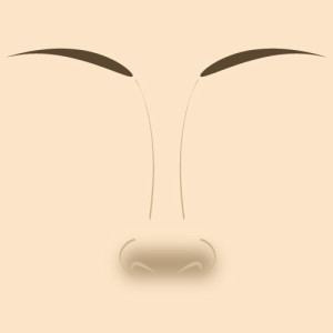 3 способа коррекции носа с помощью макияжа